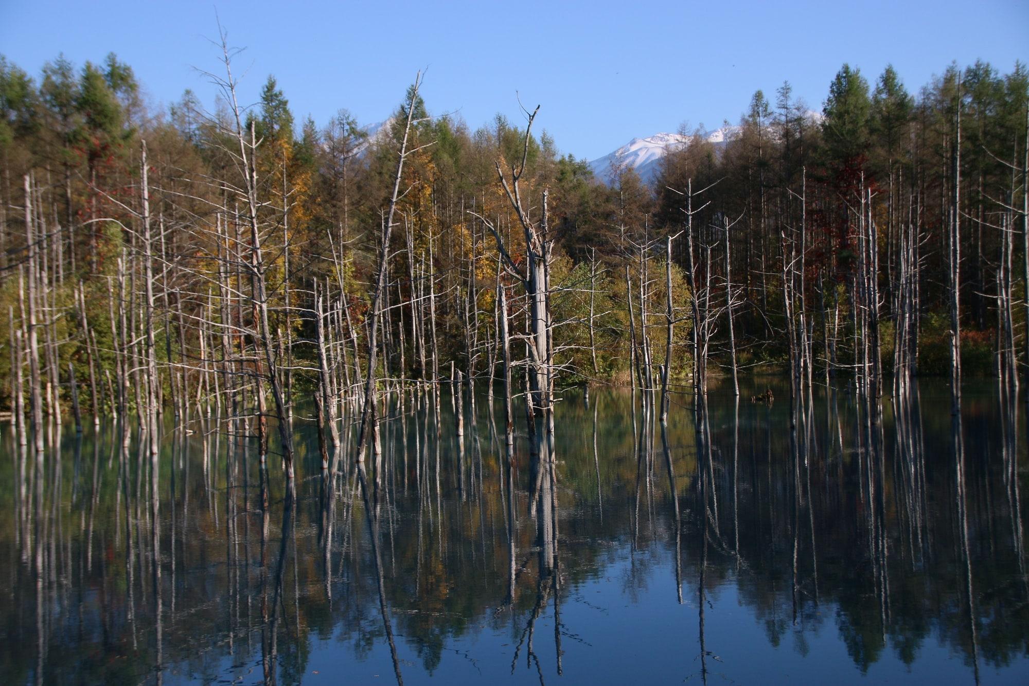 Furano Shiyuirin Otel Kamifurano Dış mekan fotoğraf