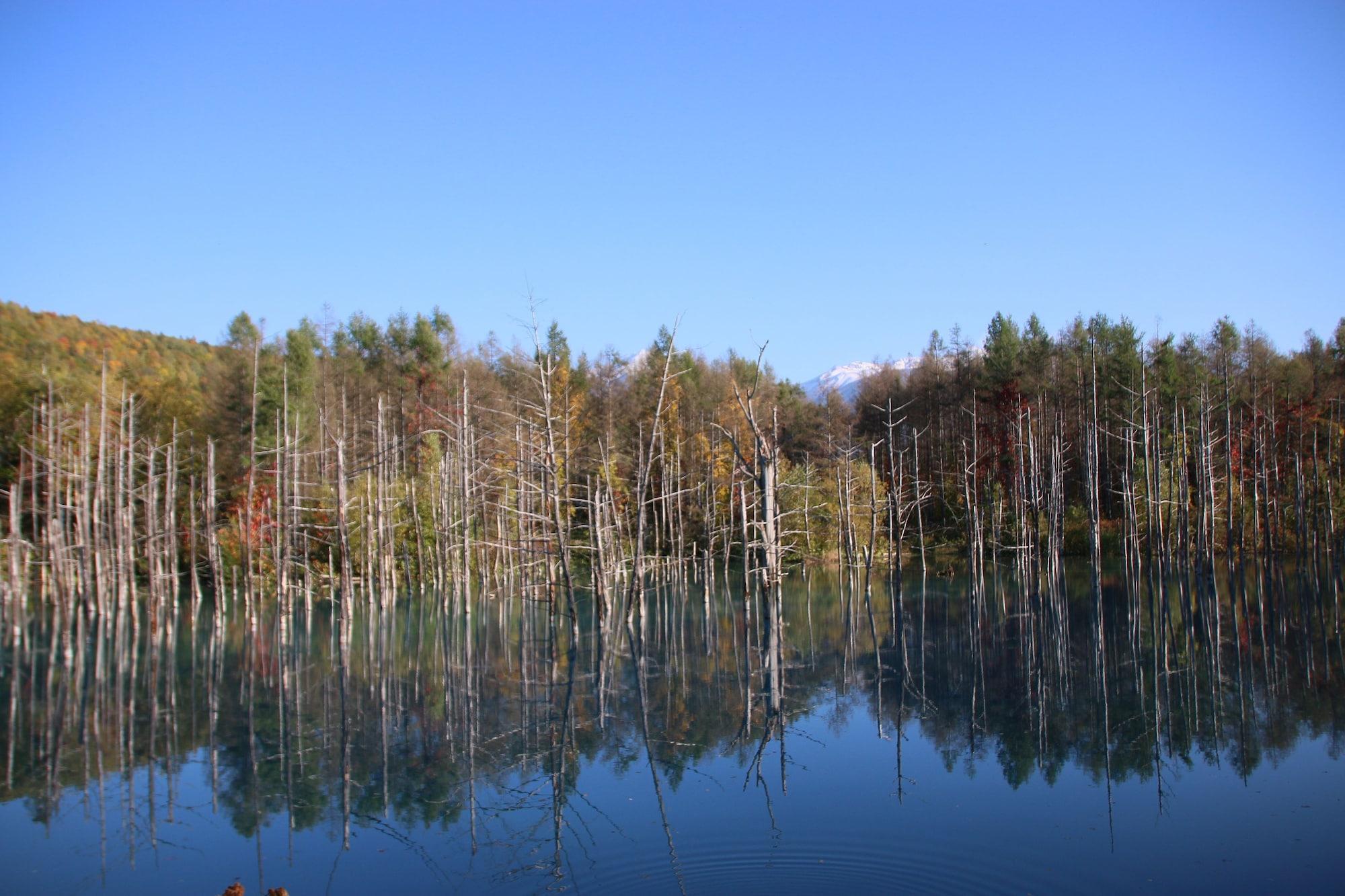 Furano Shiyuirin Otel Kamifurano Dış mekan fotoğraf