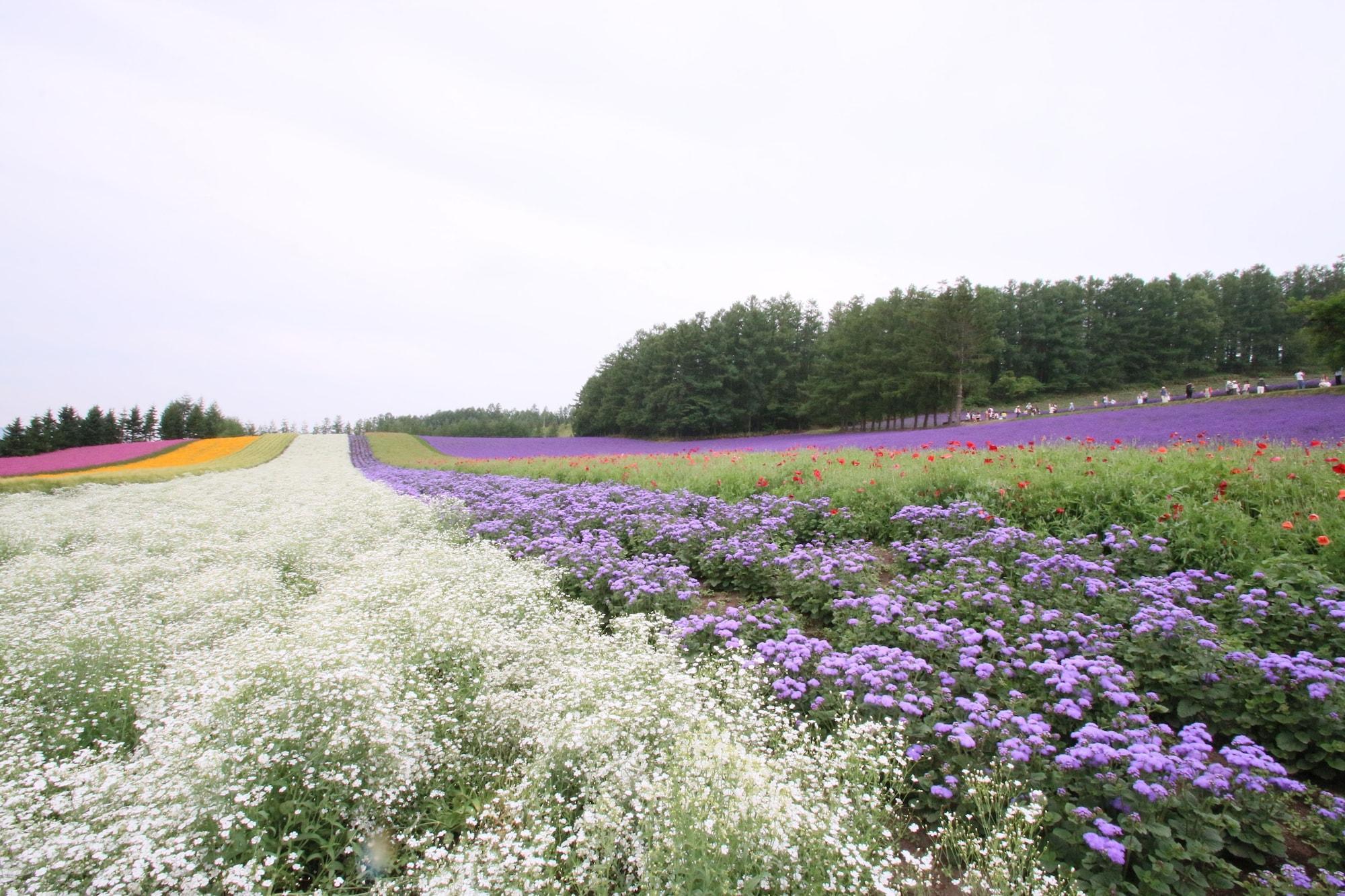 Furano Shiyuirin Otel Kamifurano Dış mekan fotoğraf