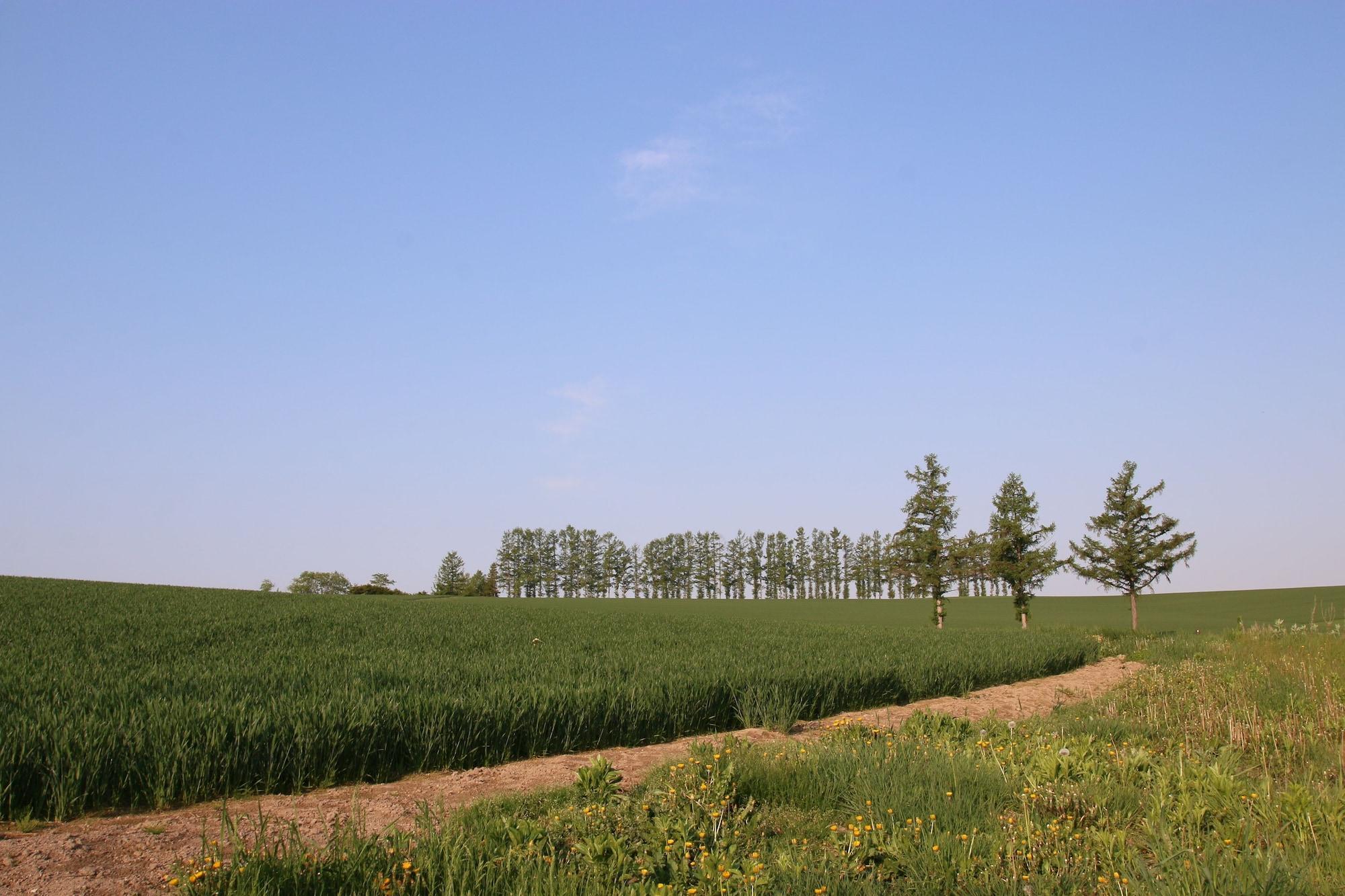 Furano Shiyuirin Otel Kamifurano Dış mekan fotoğraf