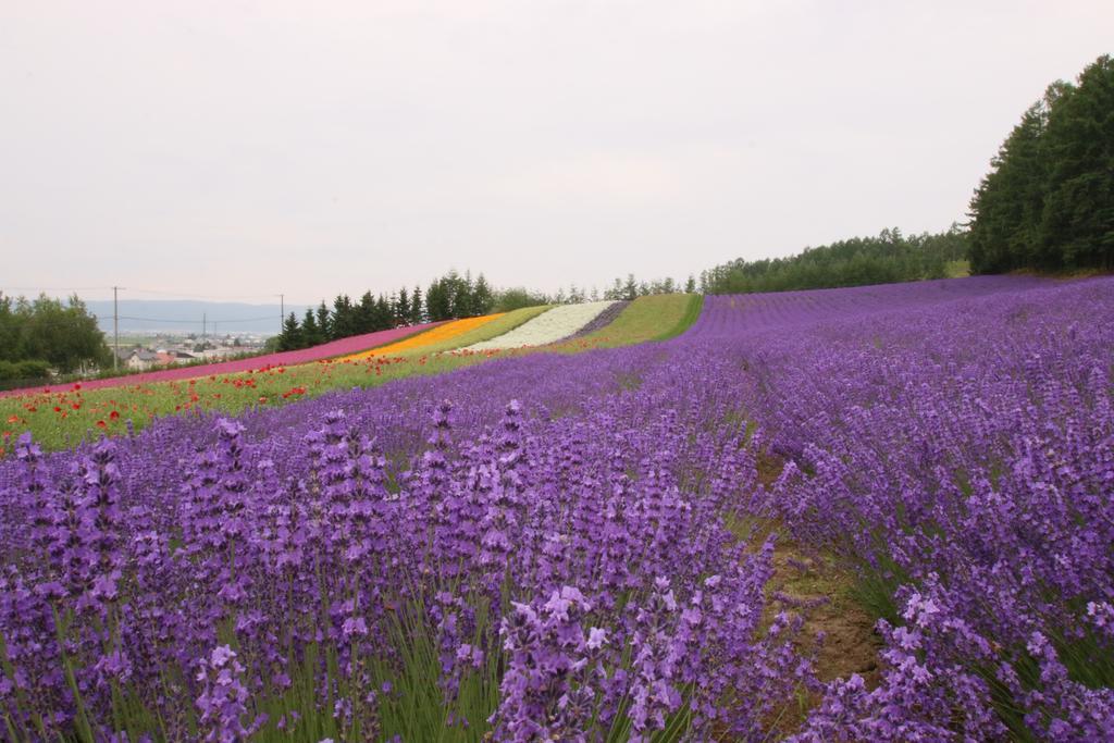 Furano Shiyuirin Otel Kamifurano Dış mekan fotoğraf