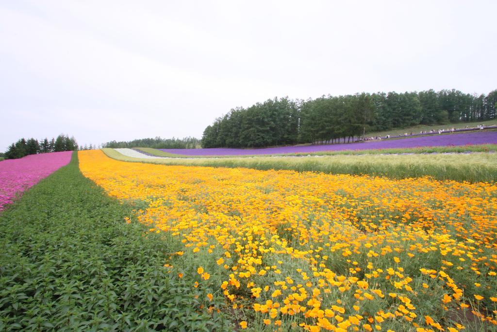 Furano Shiyuirin Otel Kamifurano Dış mekan fotoğraf